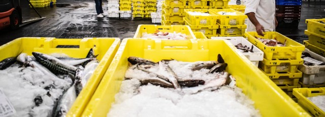 paul-einerhand-YkYA4_430Qk-unsplash (1).jpg